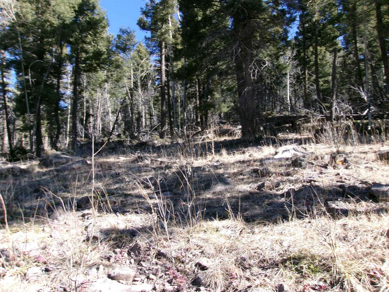 https://bt-photos.global.ssl.fastly.net/taos/1280_boomver_1_114660-2.jpg