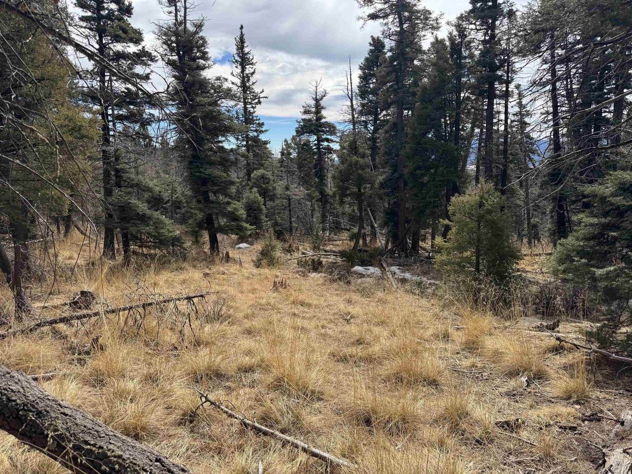 Lot 1356 Skyview Way - Photo 1