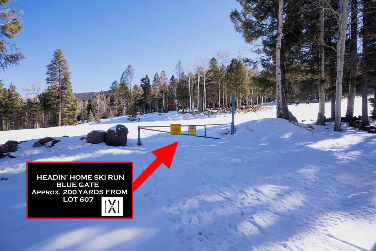 Lot 607 Panorama Way North - Photo 1