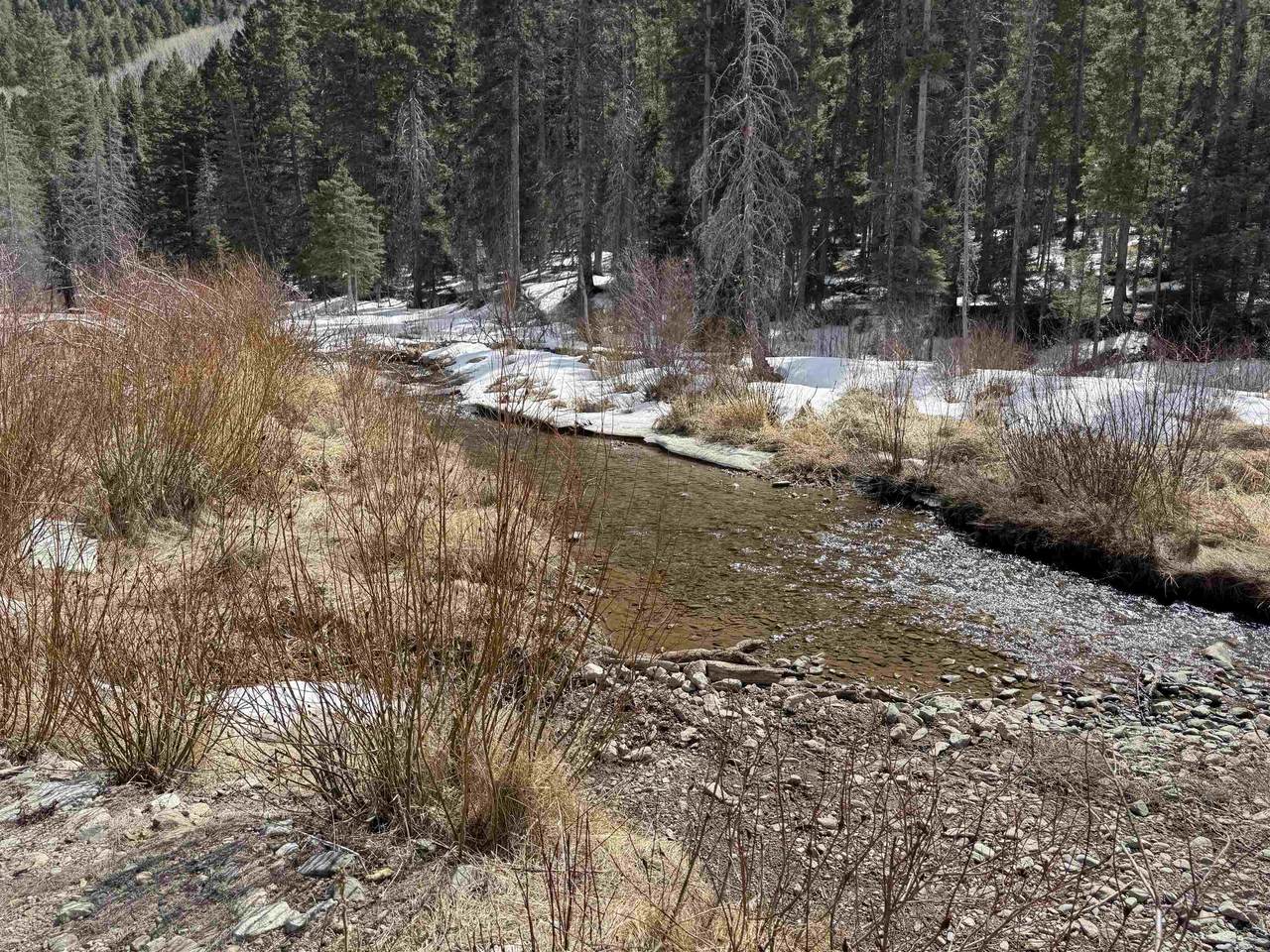 1325 Highway 150 - Photo 1
