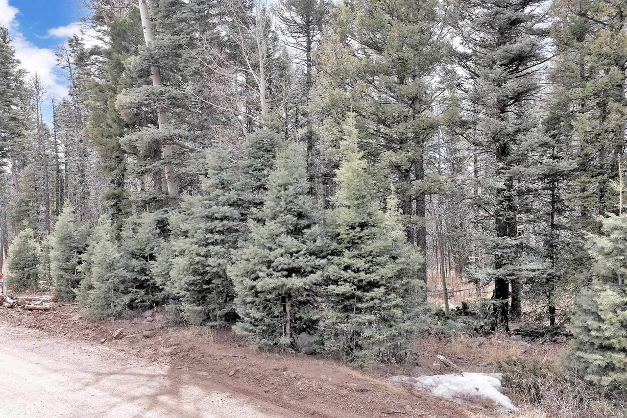 Lot 1368 Skyview Overlook - Photo 1