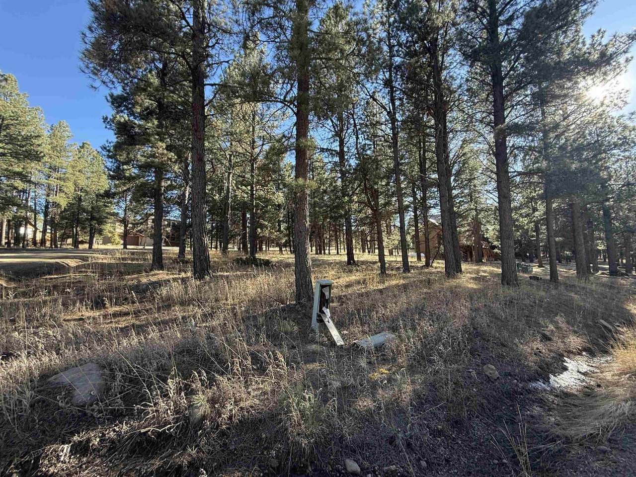 Lot 1113 Oakwood Ln - Photo 1