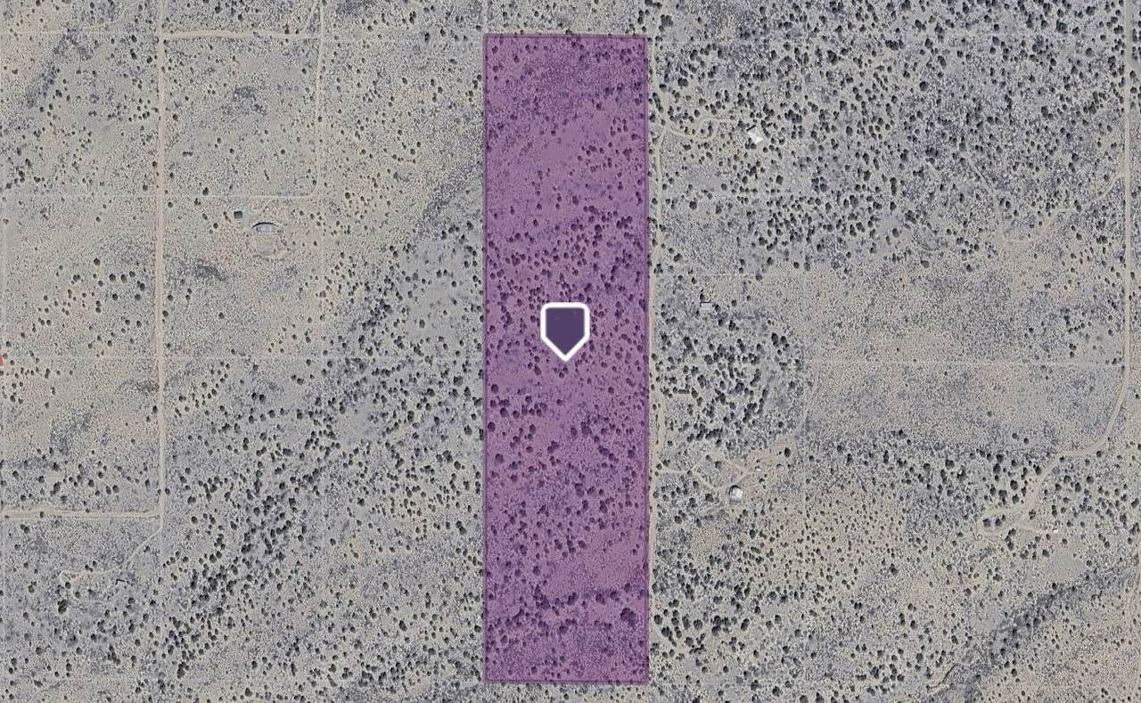 359 Mm 359 Us Highway 285 40 Acres - Photo 1