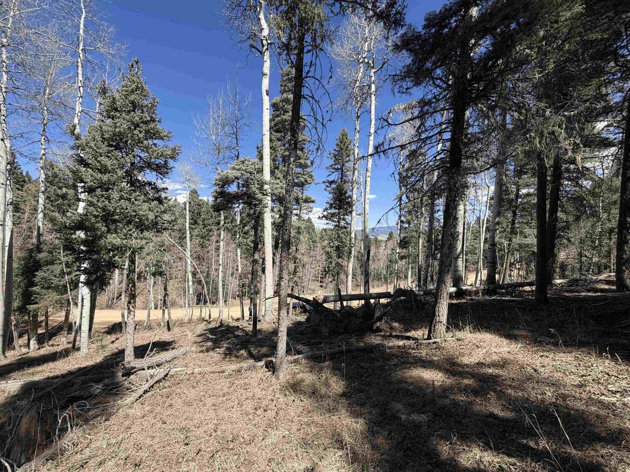 Lot 1283 Via Del Rey - Photo 1