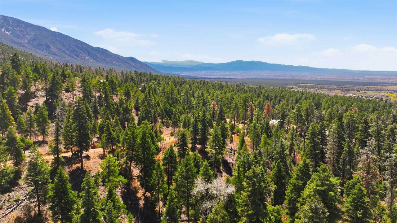  El Salto Road 13 Plus Acres - Photo 1