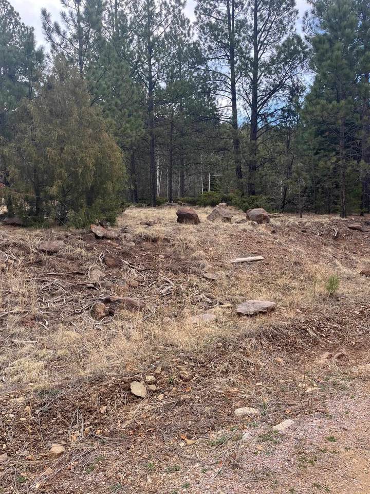  Lower Rd Lot 9 - Photo 1