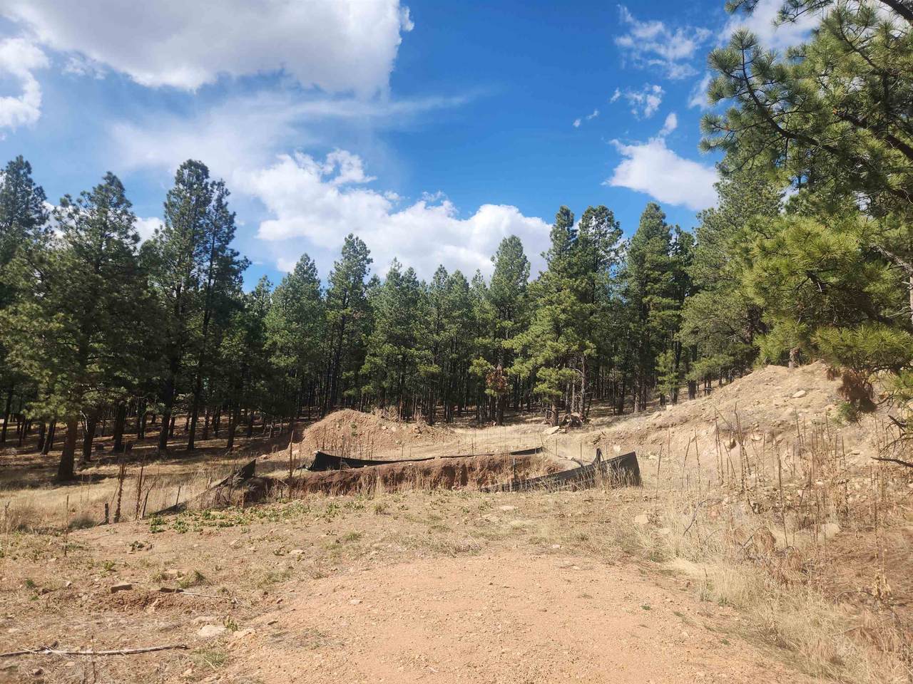 Lot 80 Alta - Photo 1