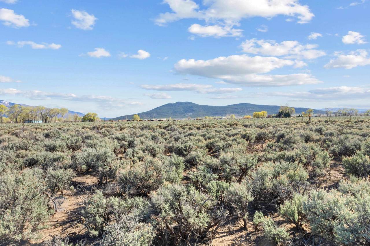 Lot 6 Buena Vista Rd - Photo 1
