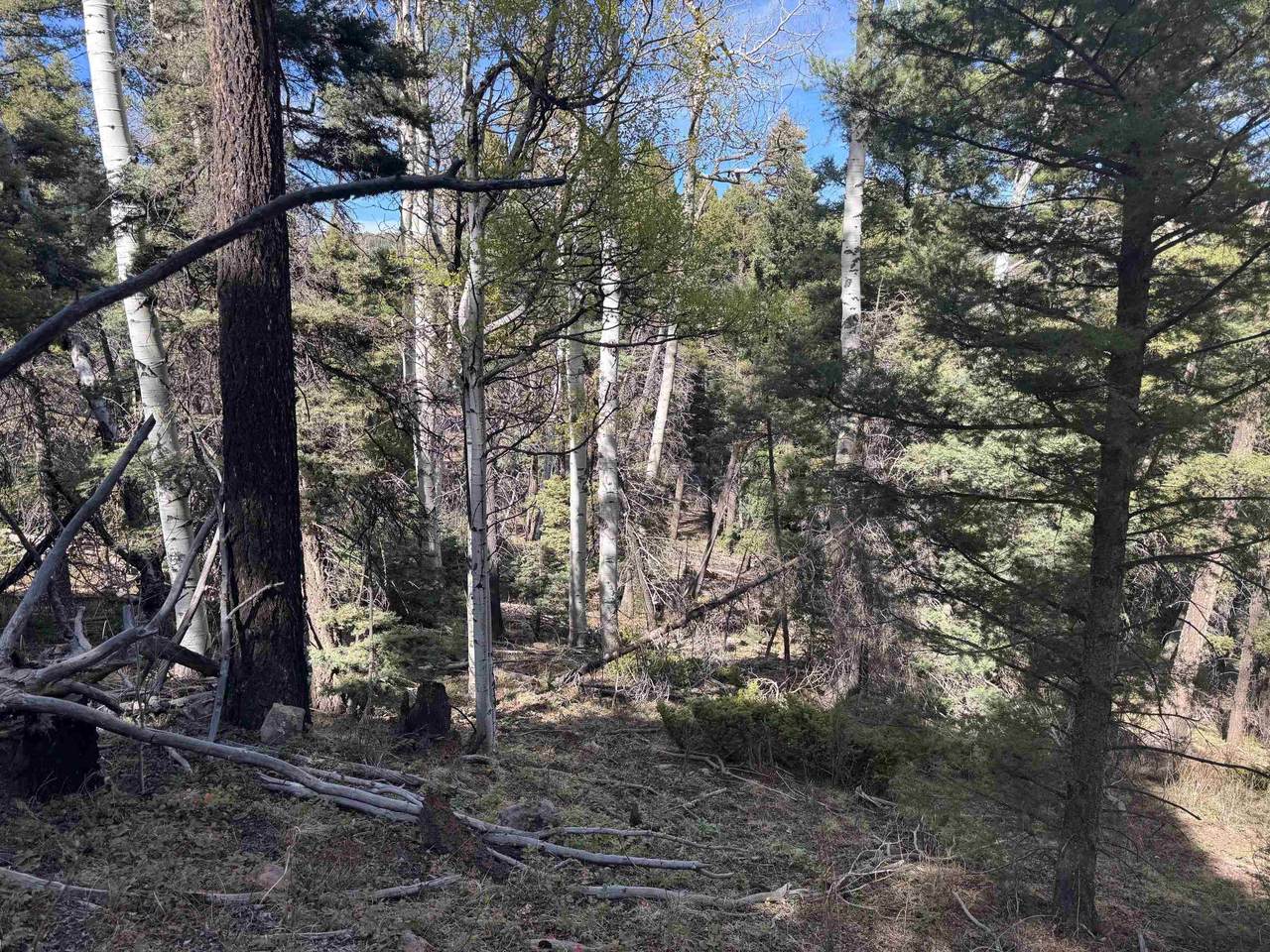 Lot 45 Back Basin Rd - Photo 1