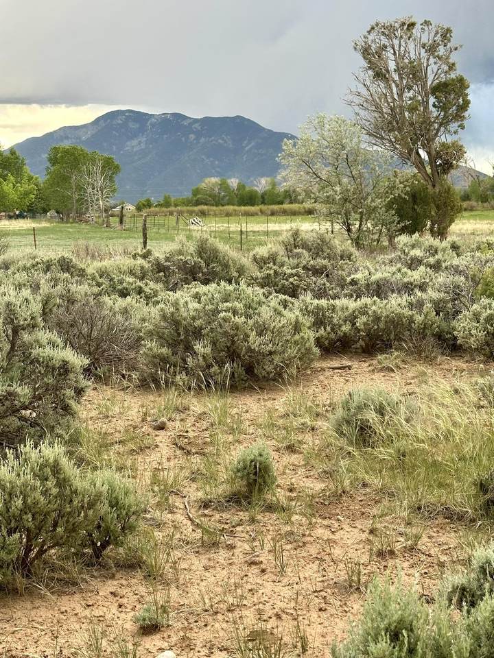 https://bt-photos.global.ssl.fastly.net/taos/1280_boomver_1_114945-2.jpg