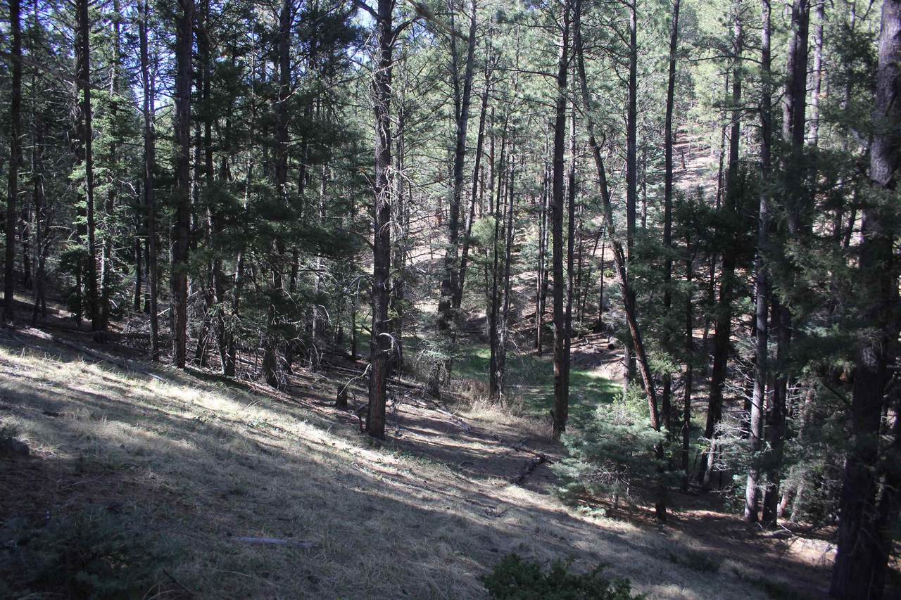 https://bt-photos.global.ssl.fastly.net/taos/1280_boomver_1_114947-2.jpg