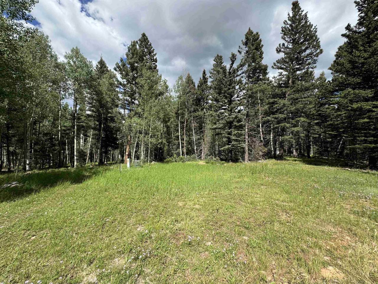Lot 23 Elk Ridge Road - Photo 1