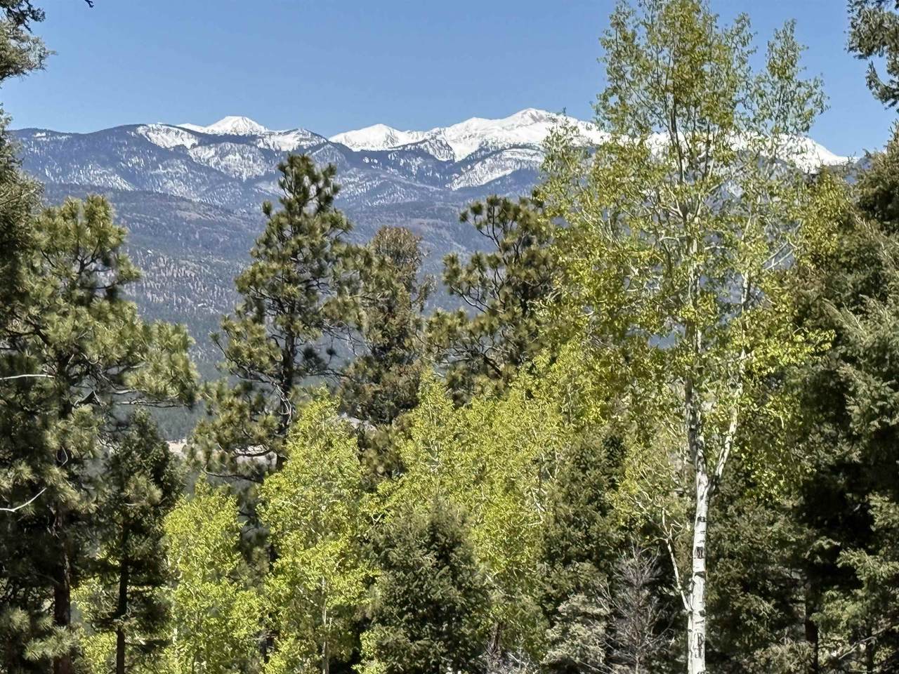 Lot 395 Vail Loop - Photo 1