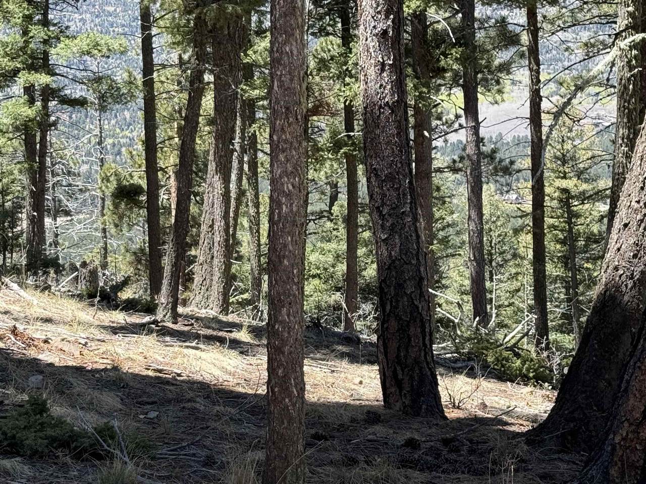 https://bt-photos.global.ssl.fastly.net/taos/1280_boomver_1_114957-2.jpg