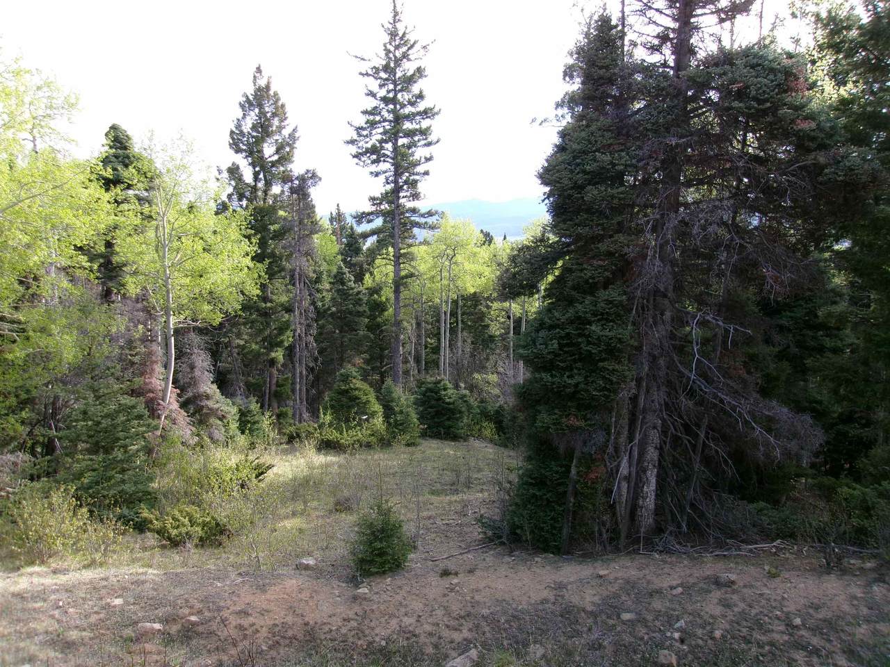 https://bt-photos.global.ssl.fastly.net/taos/1280_boomver_1_114969-2.jpg