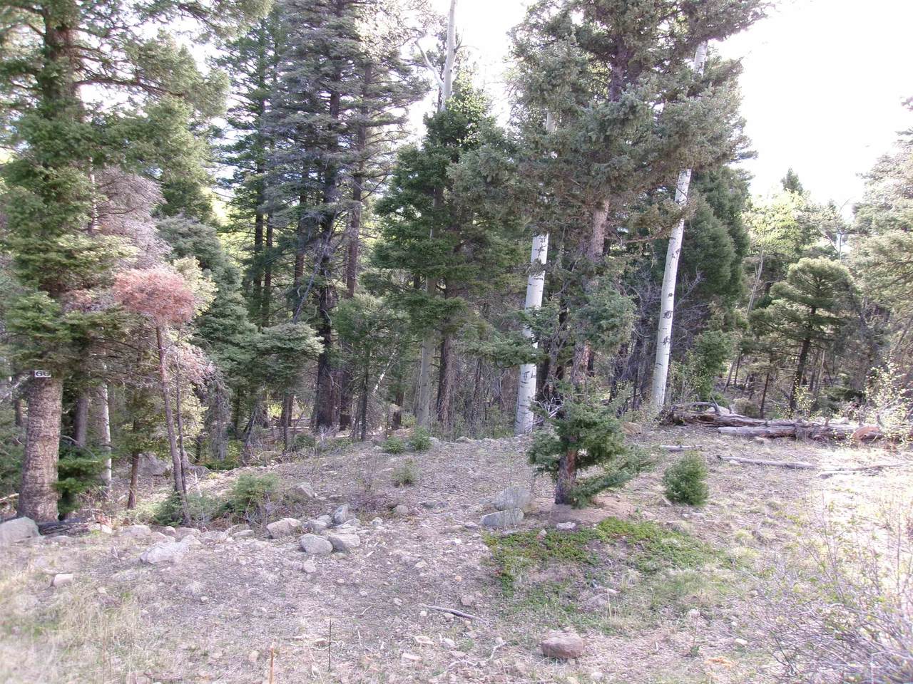 https://bt-photos.global.ssl.fastly.net/taos/1280_boomver_1_114969-2.jpg