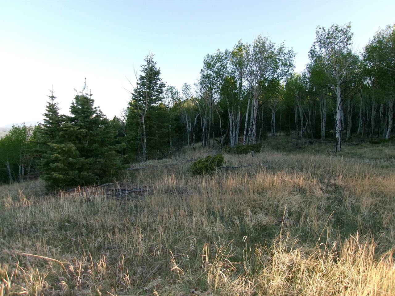123 Ravenwood - Photo 1