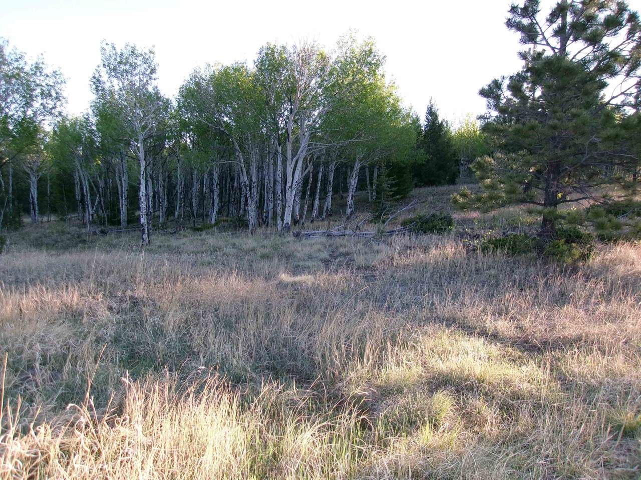 https://bt-photos.global.ssl.fastly.net/taos/1280_boomver_1_114995-2.jpg