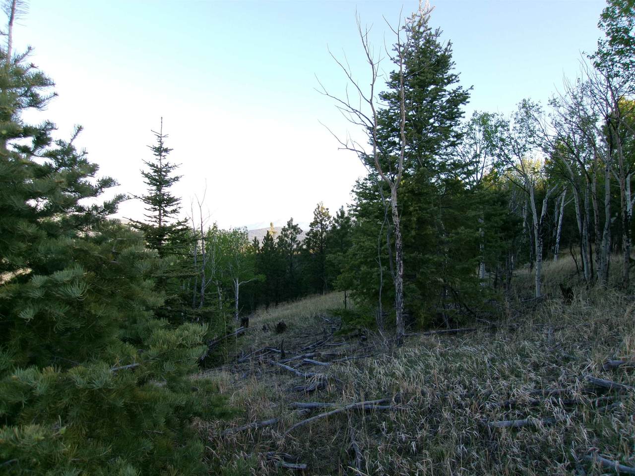 https://bt-photos.global.ssl.fastly.net/taos/1280_boomver_1_114995-2.jpg