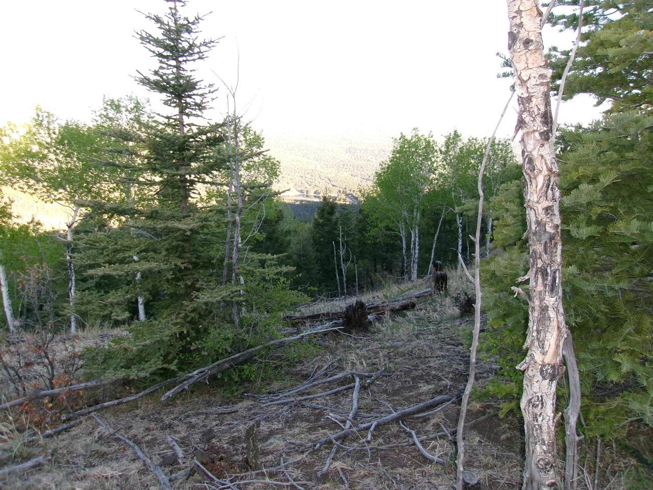 https://bt-photos.global.ssl.fastly.net/taos/1280_boomver_1_114995-2.jpg