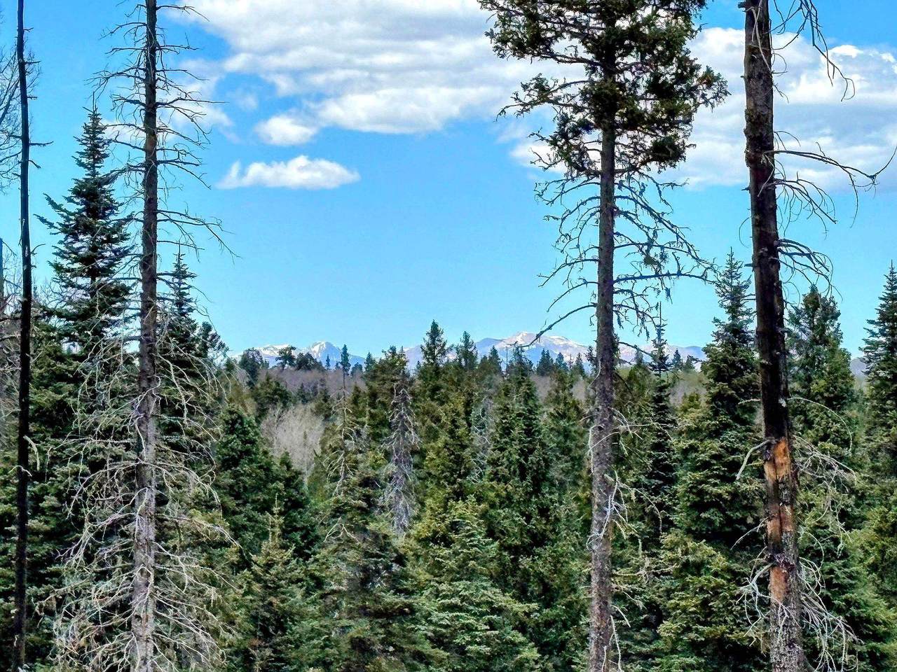 https://bt-photos.global.ssl.fastly.net/taos/1280_boomver_2_114997-2.jpg