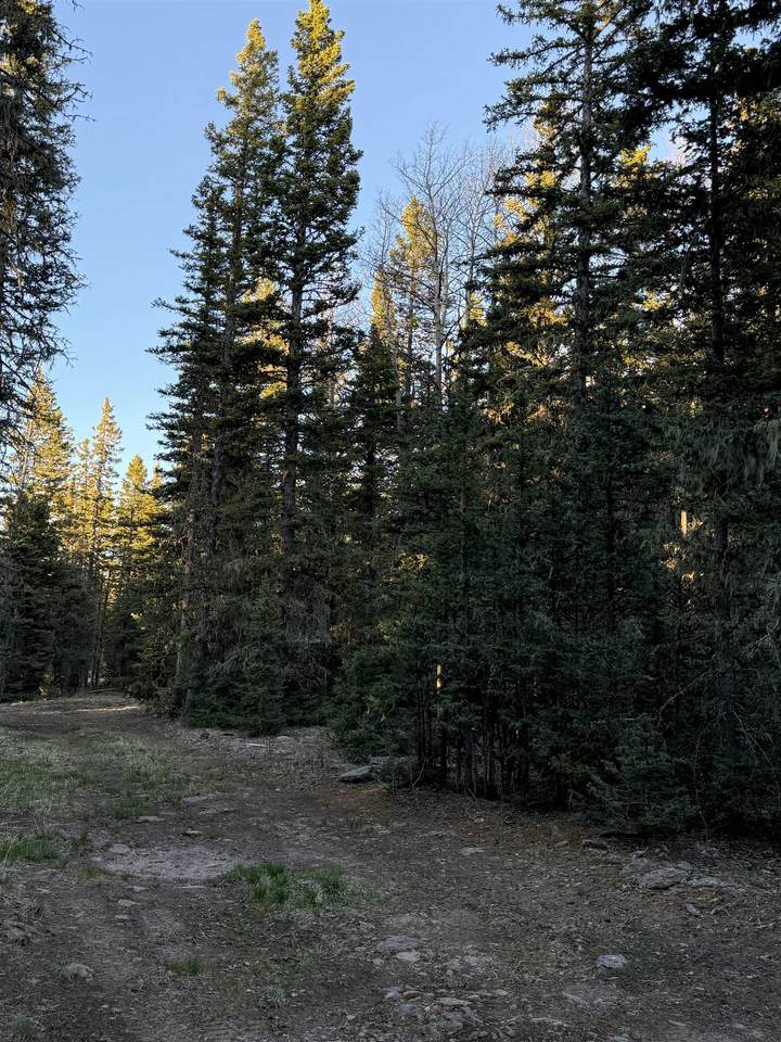 https://bt-photos.global.ssl.fastly.net/taos/1280_boomver_1_115001-2.jpg