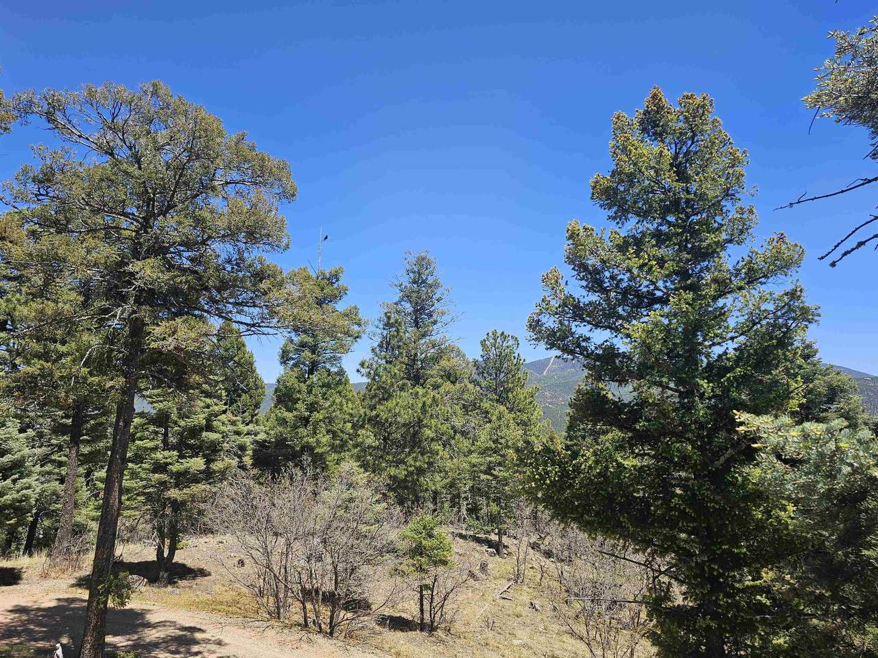https://bt-photos.global.ssl.fastly.net/taos/1280_boomver_1_115011-2.jpg