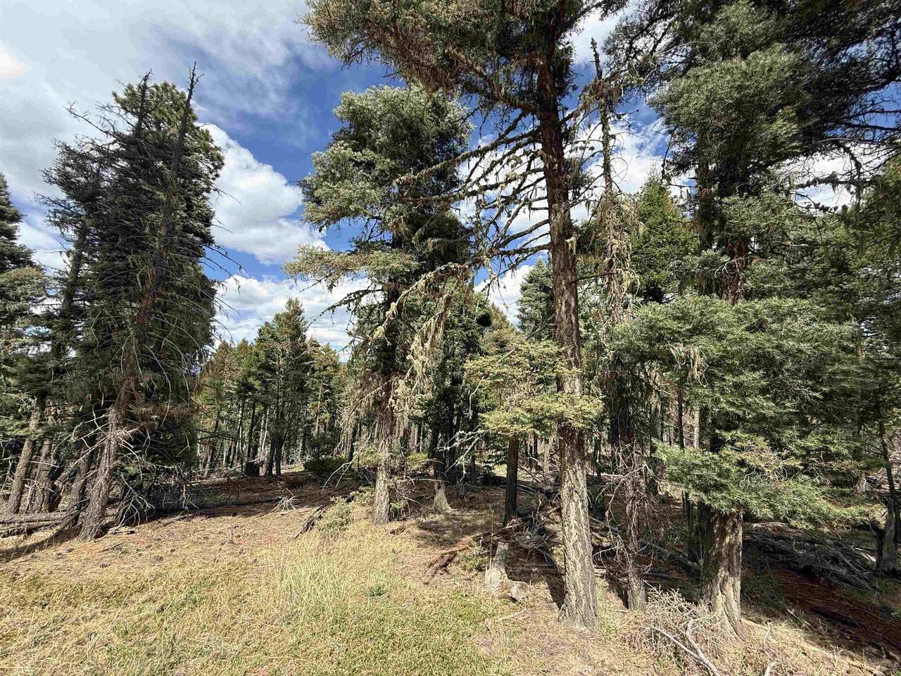 Lot 28 Calle De Los Indios - Photo 1