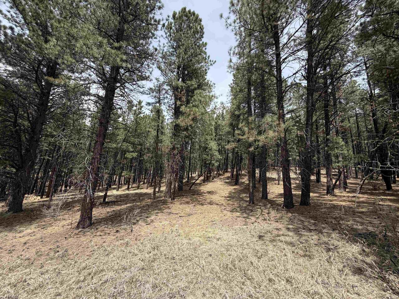 Lot 22 Valley Rd - Photo 1
