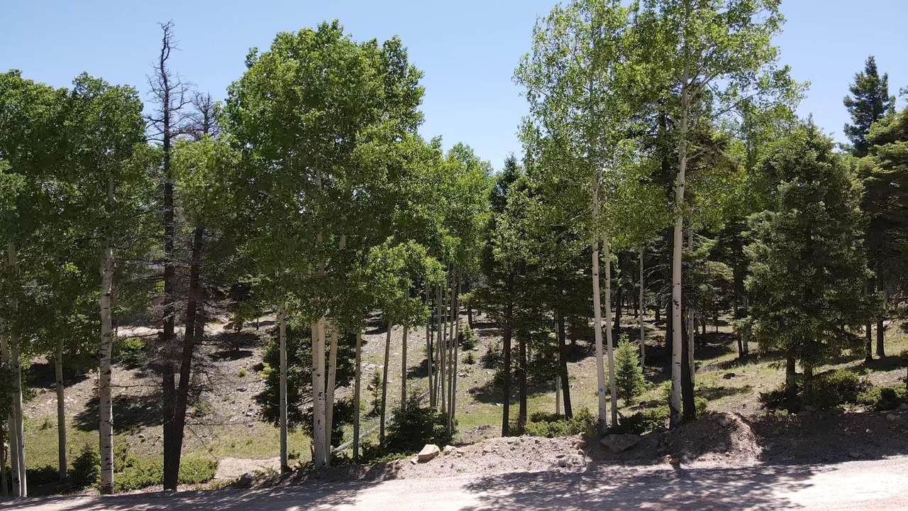 Lot 1325 Sierra Blanca Cir - Photo 1