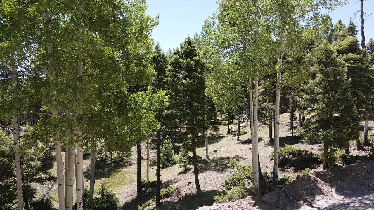 https://bt-photos.global.ssl.fastly.net/taos/1280_boomver_1_115100-2.jpg