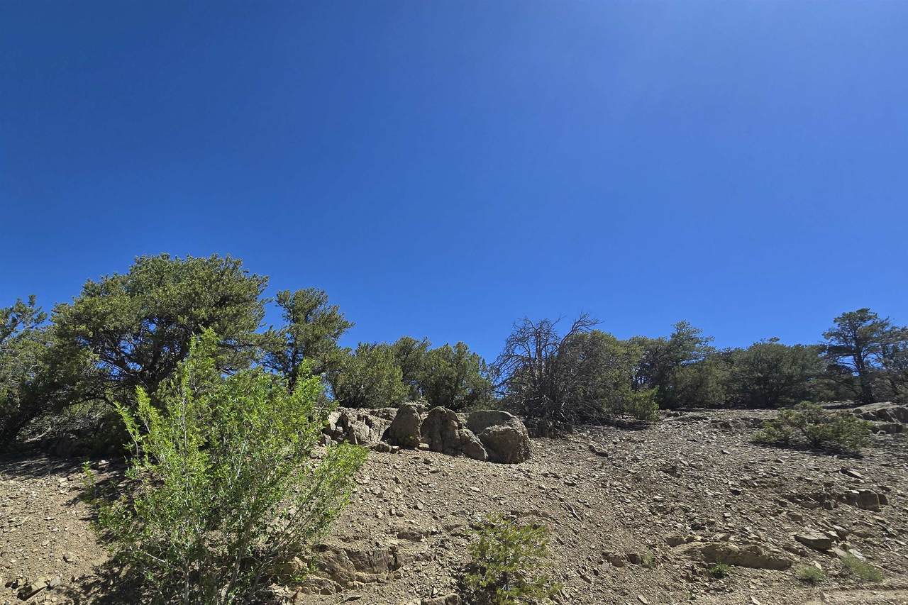 https://bt-photos.global.ssl.fastly.net/taos/1280_boomver_1_115105-2.jpg