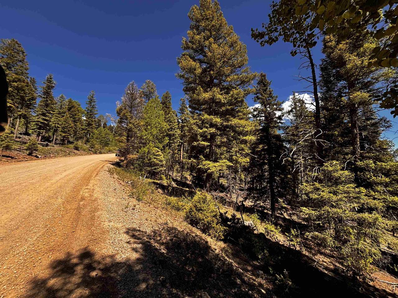 Lot 1536 El Camino Real - Photo 1