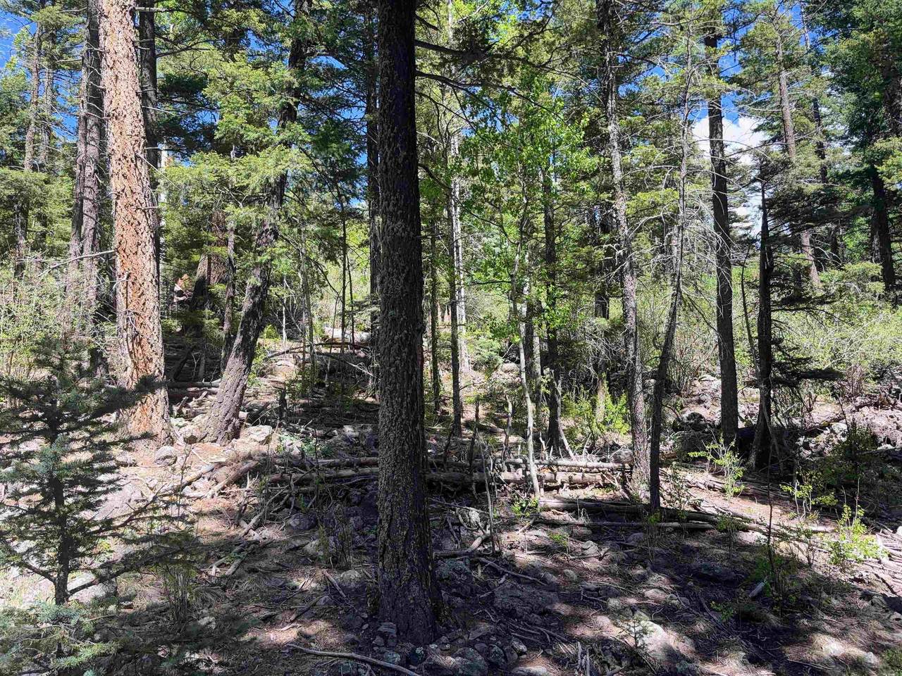 https://bt-photos.global.ssl.fastly.net/taos/1280_boomver_1_115110-2.jpg