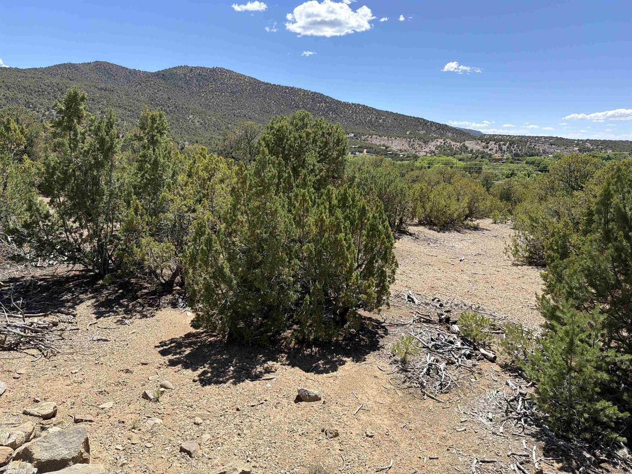 tbd Off Nm 518 Lot 7 - Photo 1