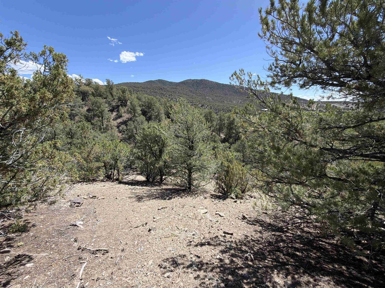 tbd Off Nm 518 Lot 8 - Photo 1