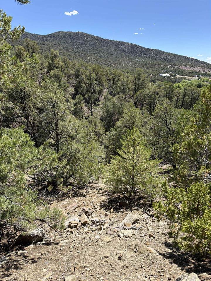 https://bt-photos.global.ssl.fastly.net/taos/1280_boomver_1_115146-2.jpg