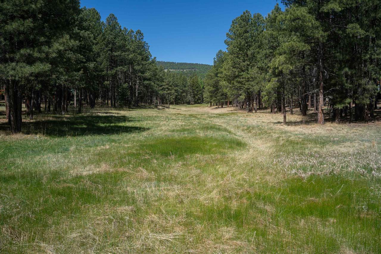 https://bt-photos.global.ssl.fastly.net/taos/1280_boomver_1_115194-2.jpg