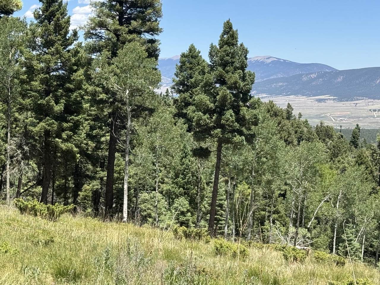 Lot 106 Zia Rd - Photo 1