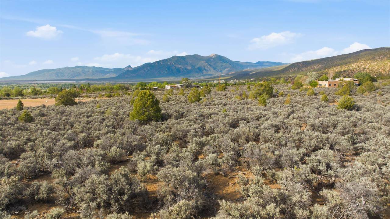  Calle Cuervo Off Paseo Del Canon 3 Plus Acres - Photo 1