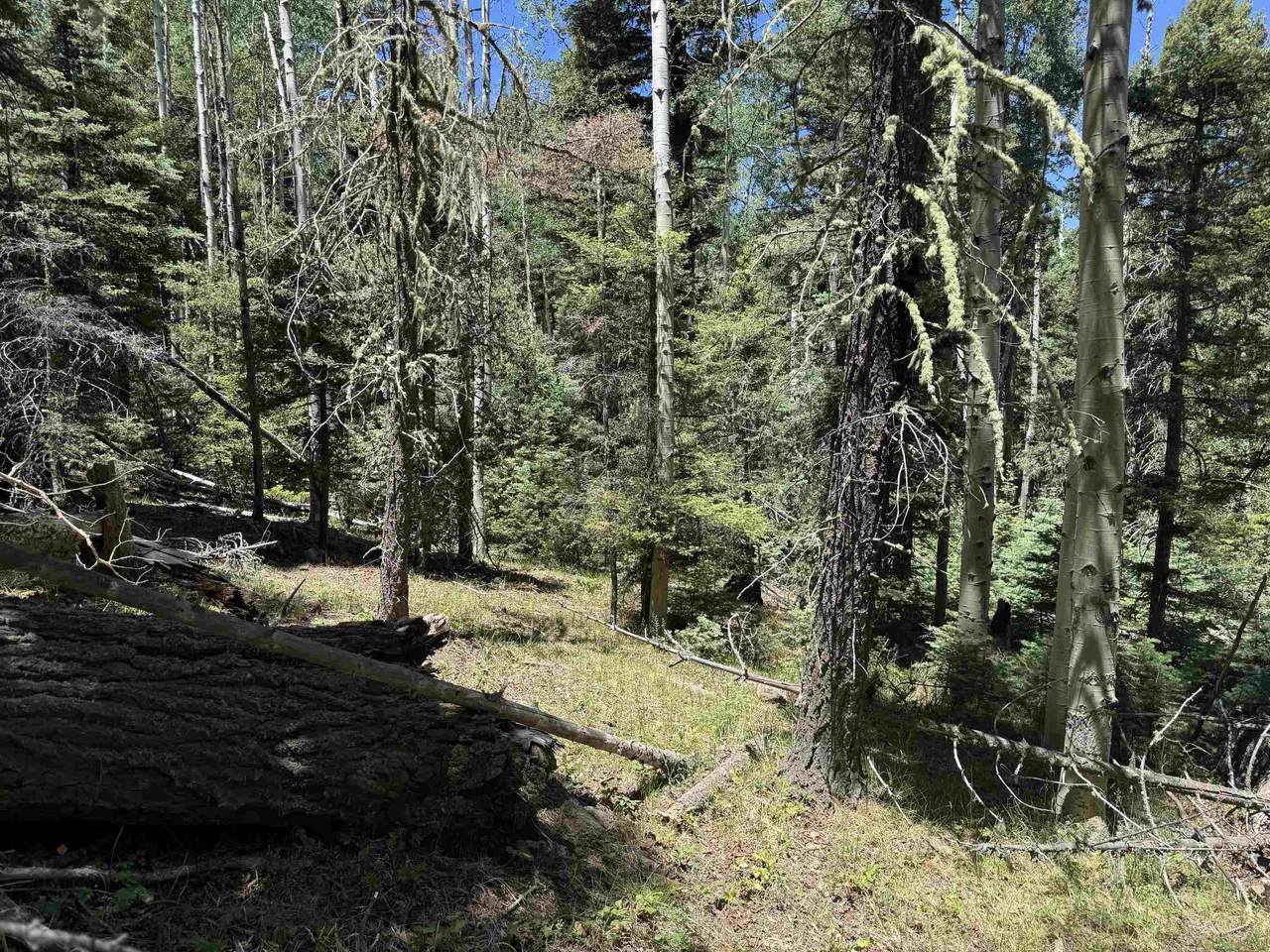 Lot 374A Vail Loop - Photo 1