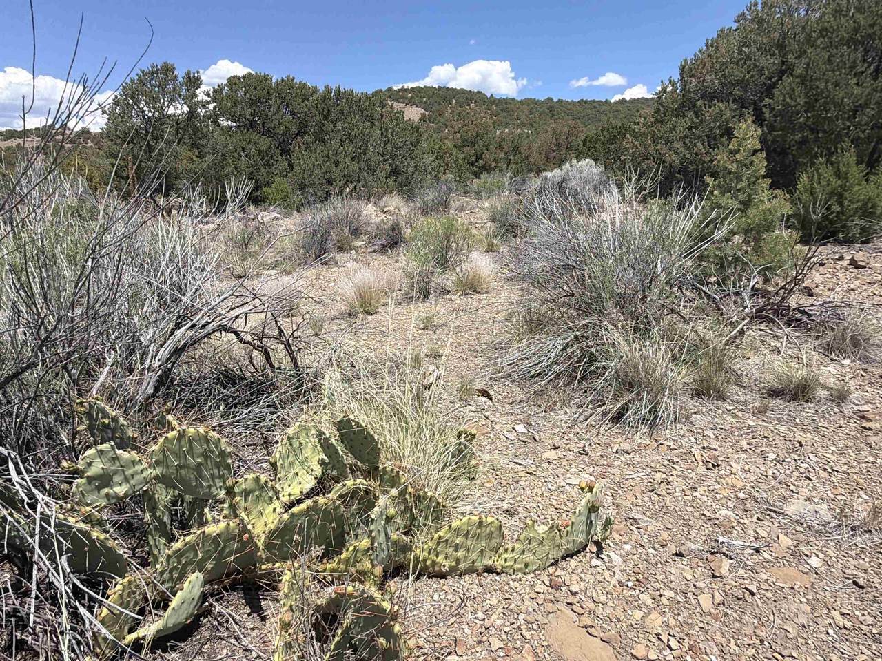 https://bt-photos.global.ssl.fastly.net/taos/1280_boomver_1_115212-2.jpg