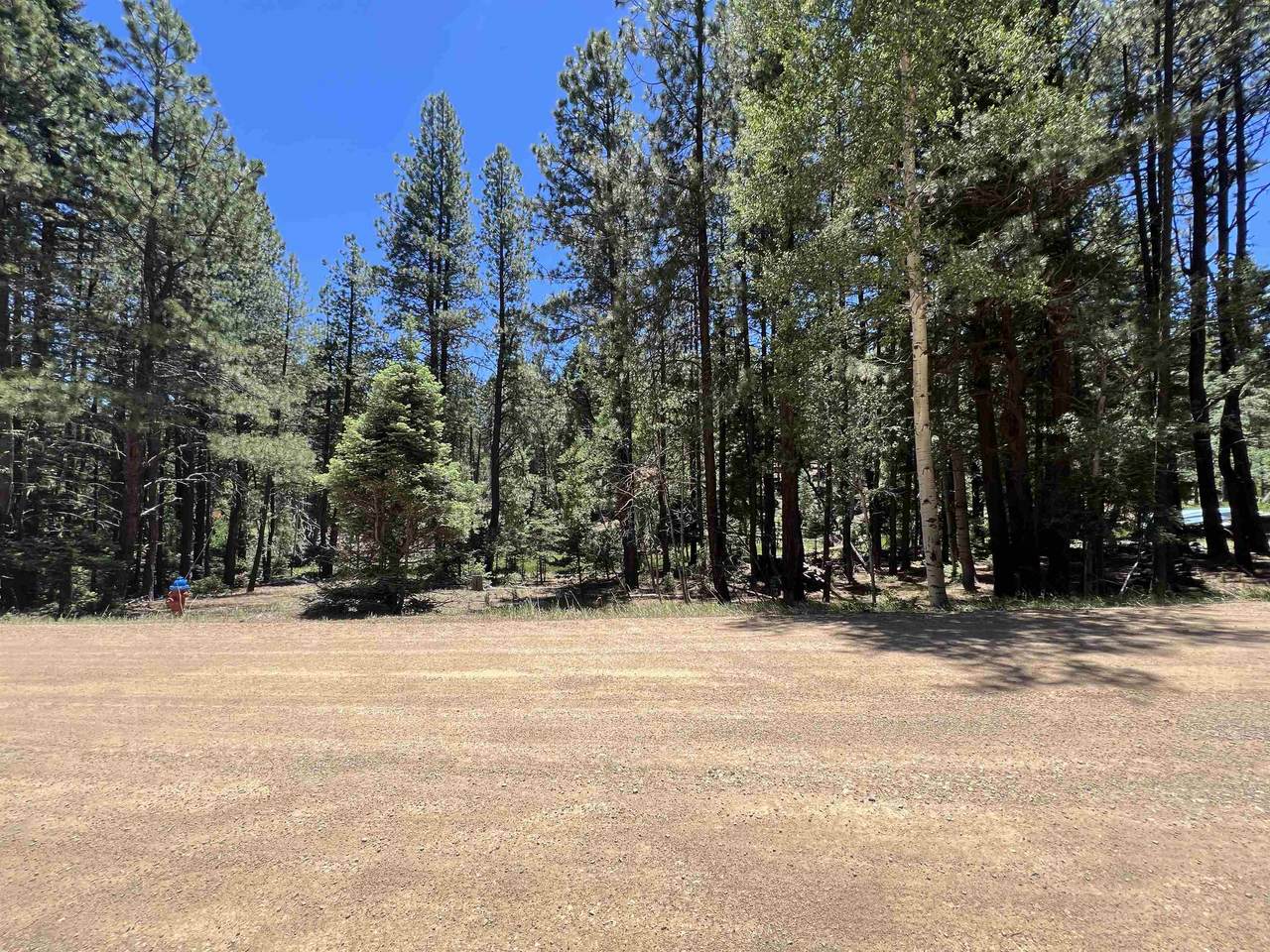 TBD Alpine Lake Way Lot 3 Blk E - Photo 1