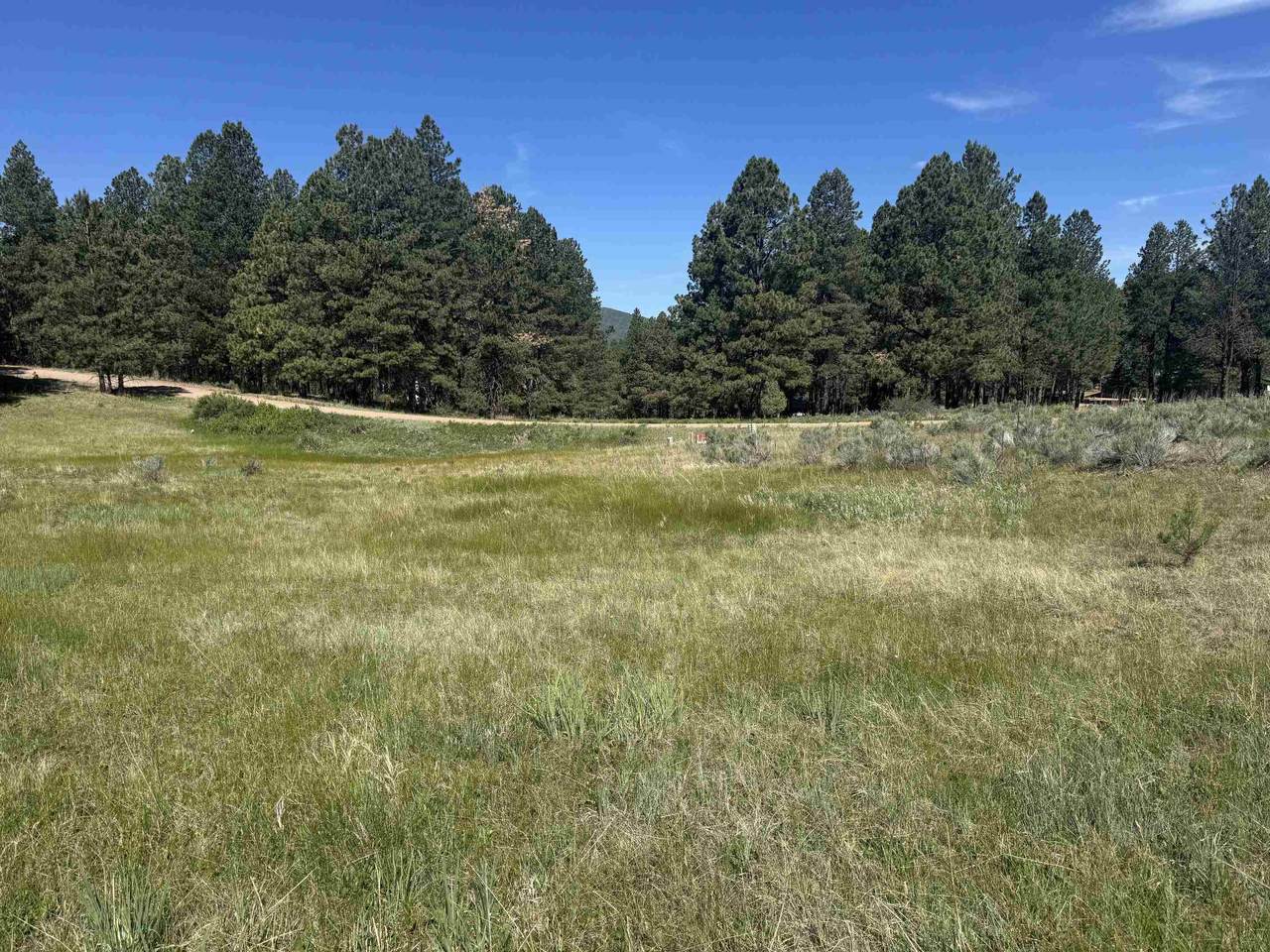 Lot 8 Blk D Jackson Hole - Photo 1