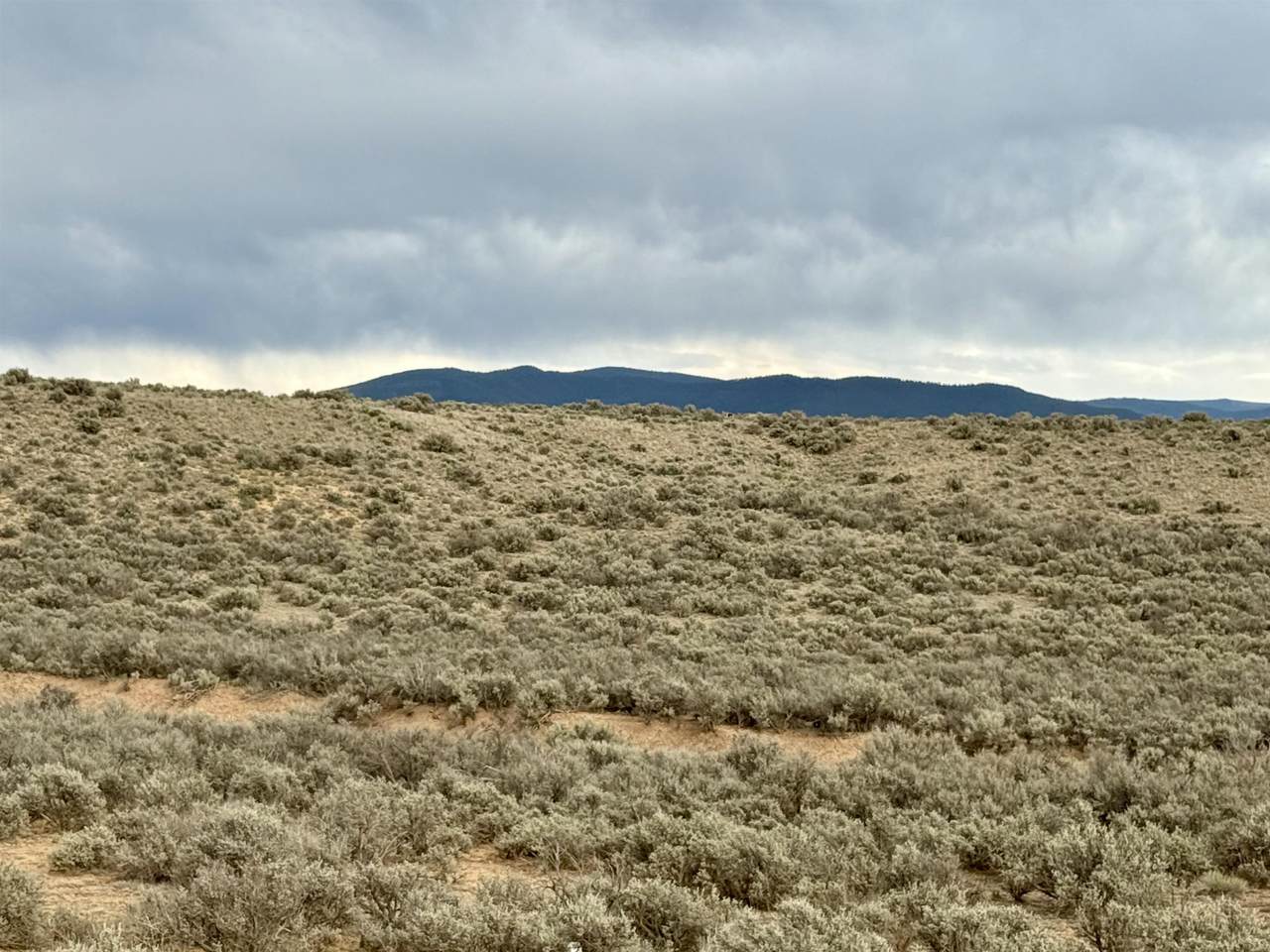 https://bt-photos.global.ssl.fastly.net/taos/1280_boomver_1_115259-2.jpg