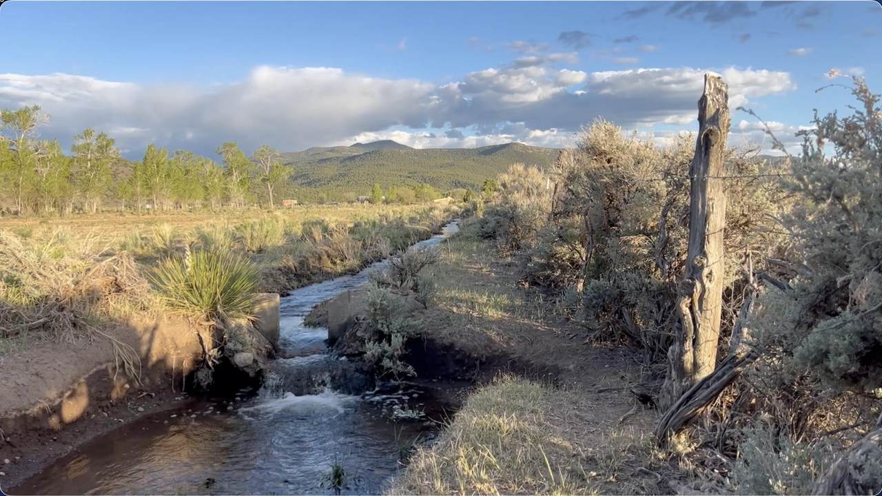 15 Plus Acres Off Highway 522 And Myers - Photo 1