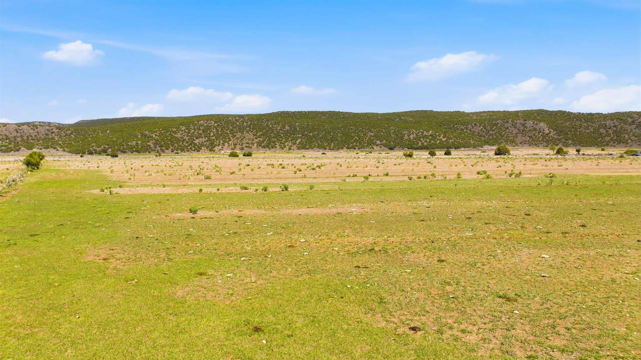 https://bt-photos.global.ssl.fastly.net/taos/1280_boomver_1_115278-2.jpg