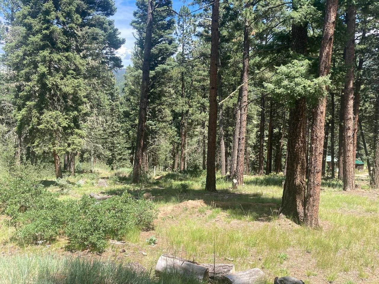 https://bt-photos.global.ssl.fastly.net/taos/1280_boomver_1_115300-2.jpg