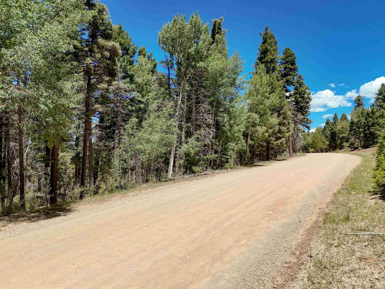 Lot 55 Back Basin - Photo 1