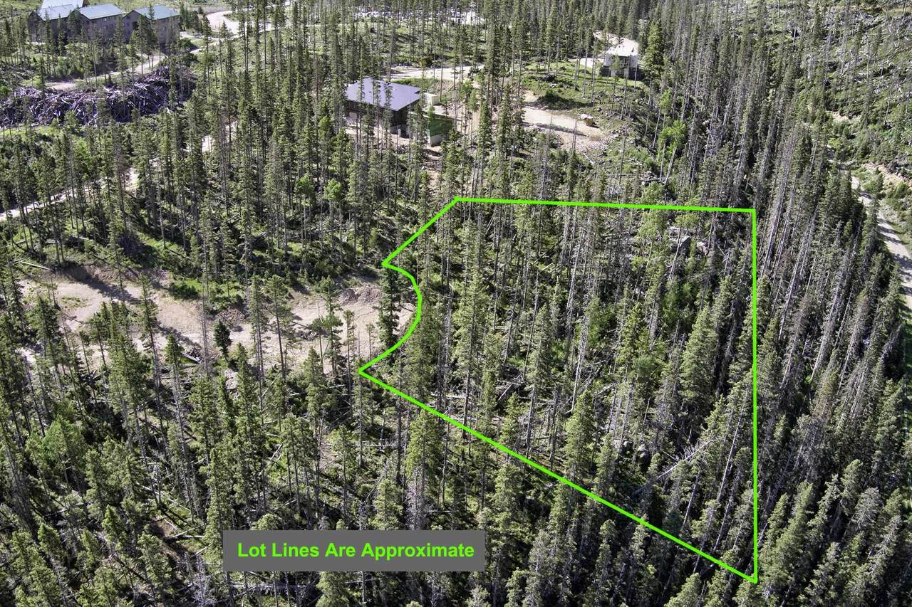 10 Lynx Drive - Photo 1